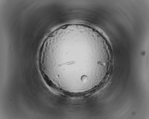 X0000099551429200806061506