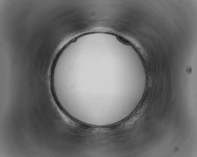 X0000099551430200806061506