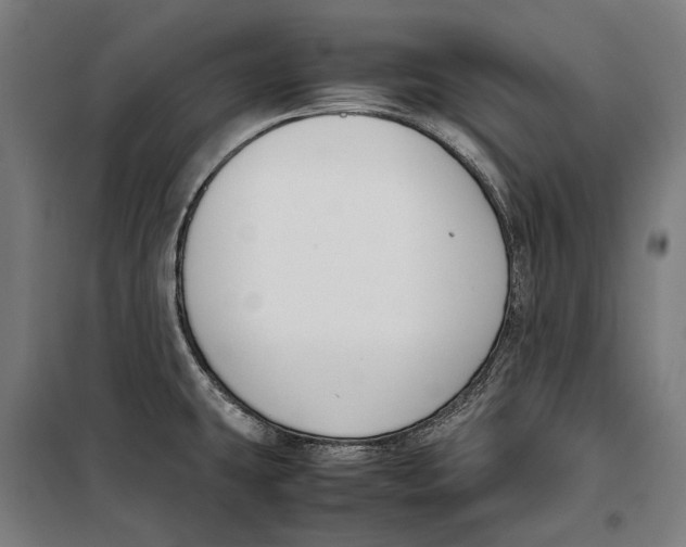 X0000099551431200806061507