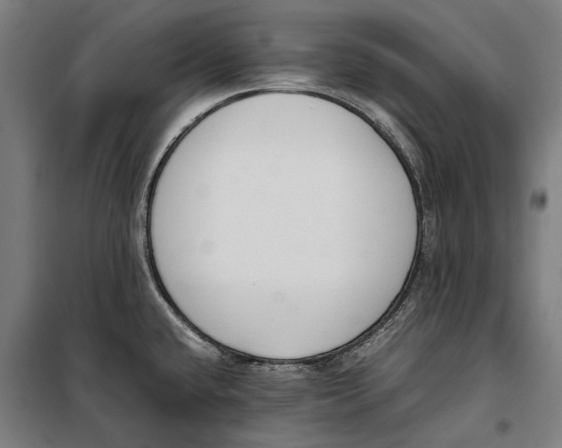 X0000099551432200806061507