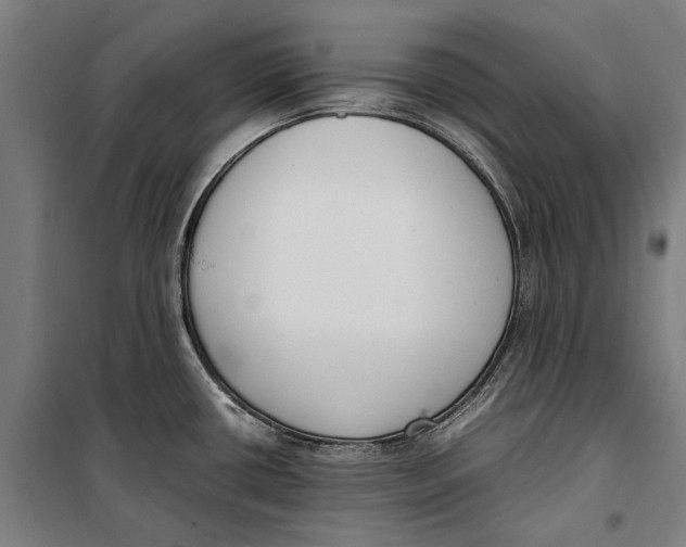 X0000099551434200806061507