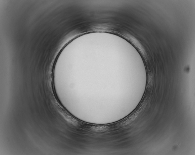 X0000099551435200806061507