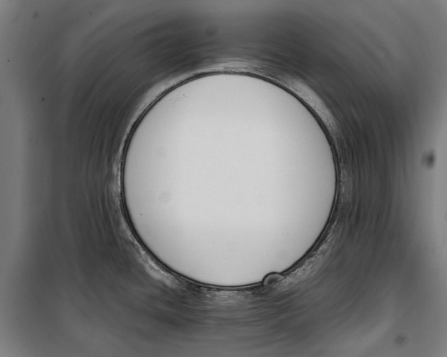 X0000099551436200806061507