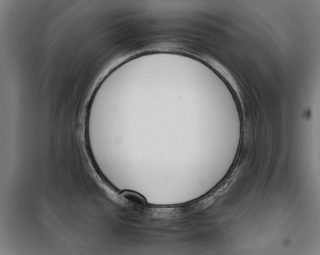 X0000099551437200806061507