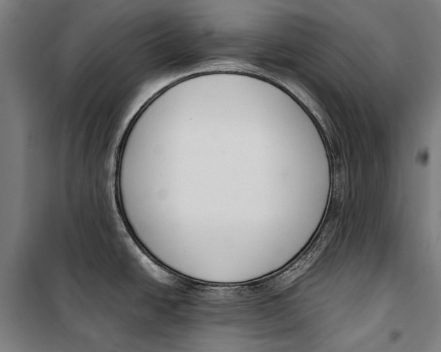 X0000099551438200806061507