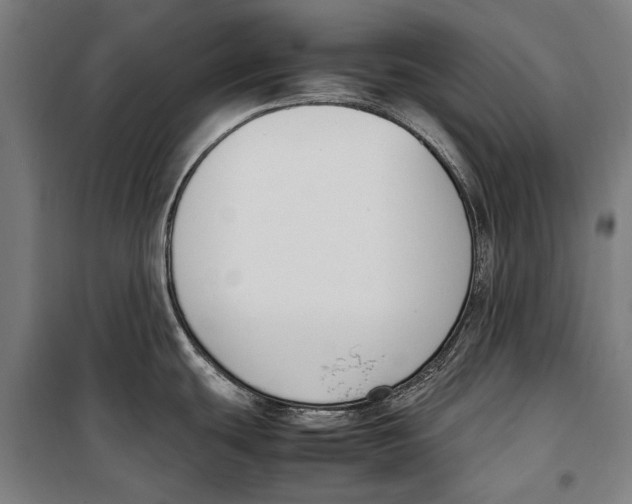 X0000099551439200806061507