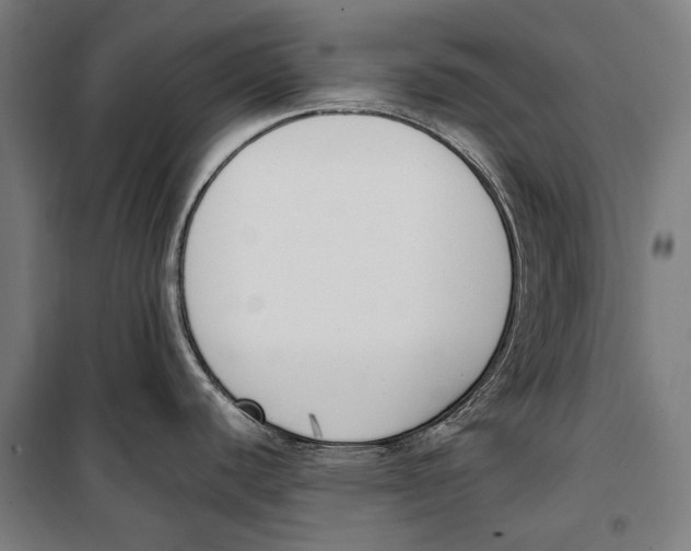 X0000099551440200806061507