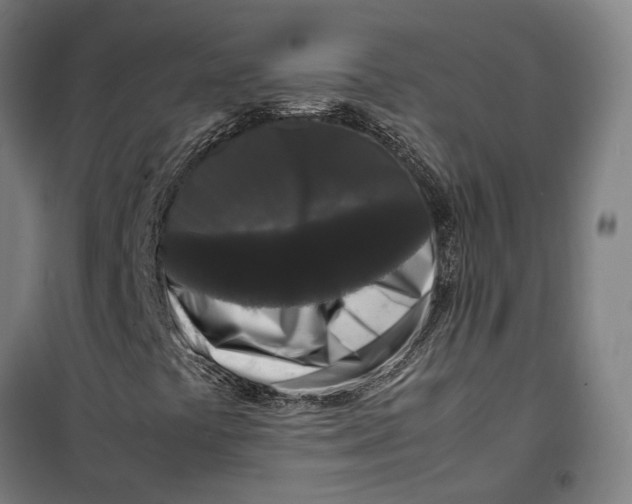 X0000099551441200806061506