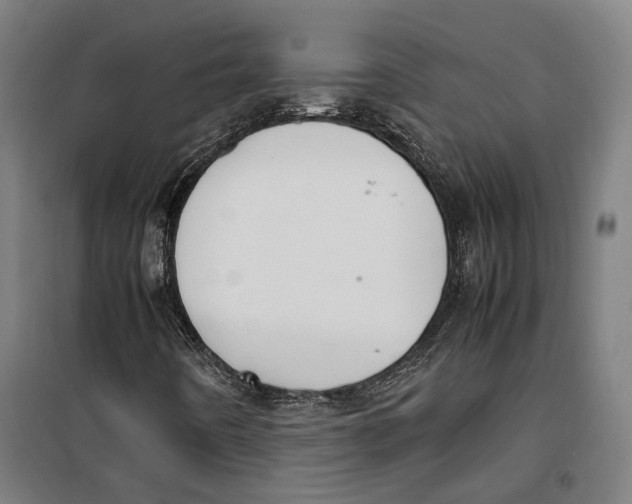 X0000099551442200806061506