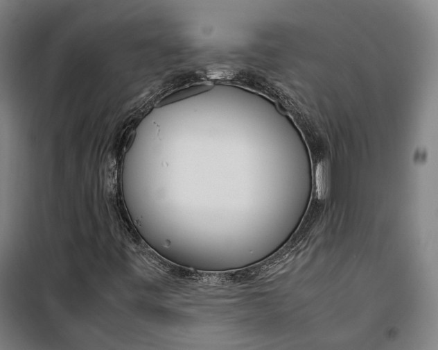 X0000099551443200806061506