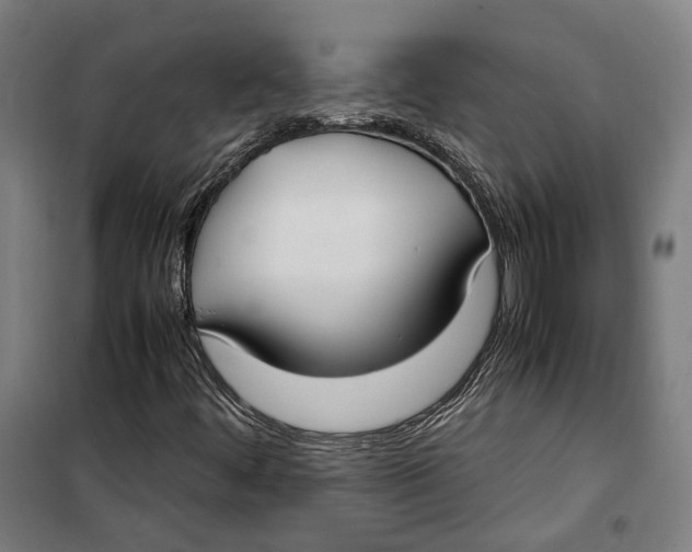 X0000099551444200806061506