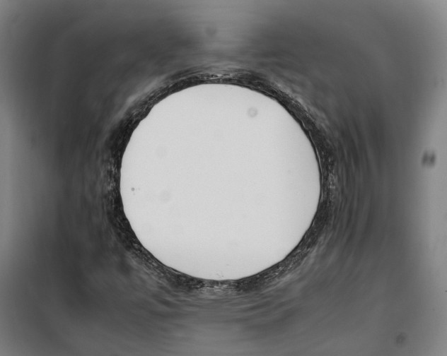 X0000099551447200806061506