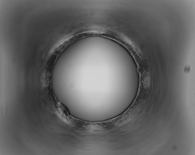 X0000099551448200806061506