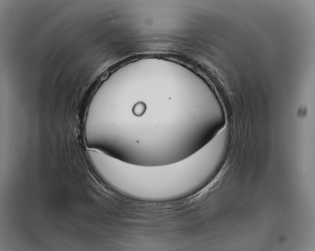 X0000099551449200806061506