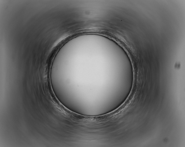 X0000099551450200806061506