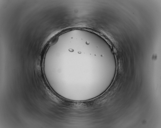 X0000099551452200806061506