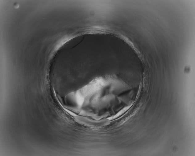 X0000099551453200806061506