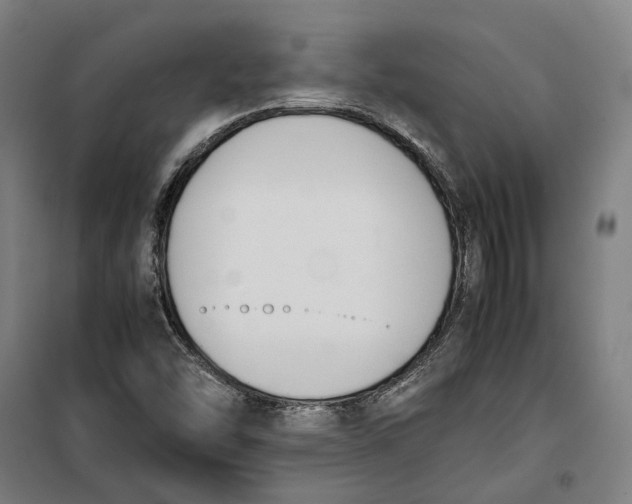 X0000099551454200806061506