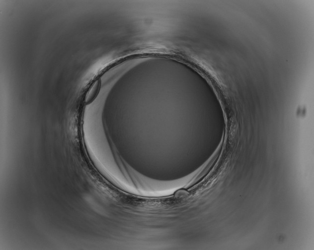 X0000099551455200806061506