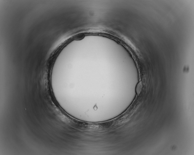 X0000099551456200806061506