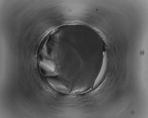 X0000099551457200806061506