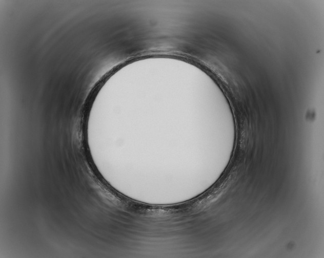 X0000099551458200806061506