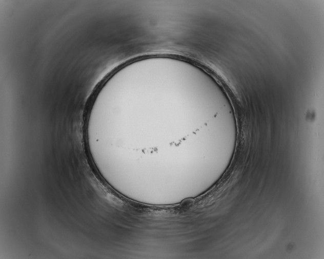 X0000099551460200806061506