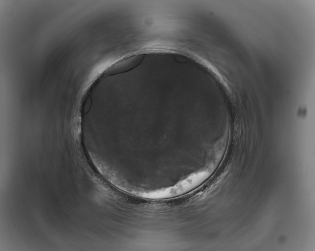 X0000099551461200806061506