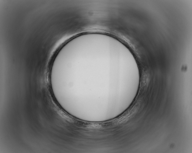 X0000099551462200806061506