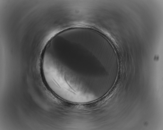 X0000099551463200806061506