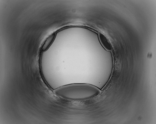 X0000099551464200806061506