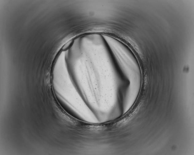 X0000099551465200806061506