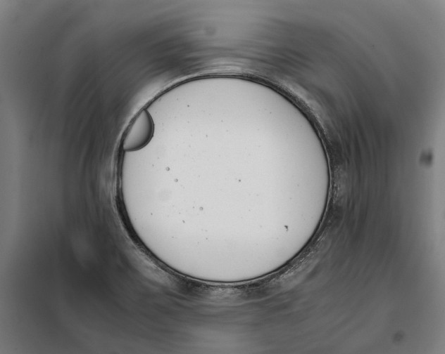 X0000099551467200806061506