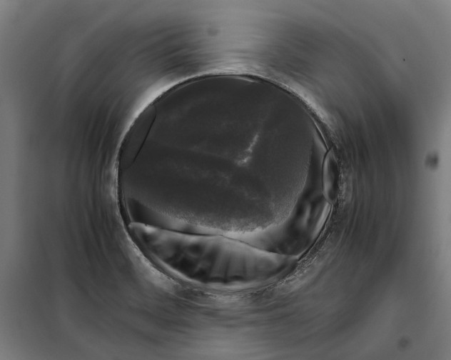 X0000099551468200806061506