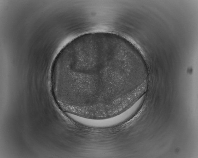 X0000099551469200806061506