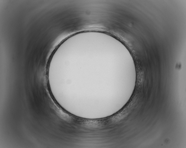 X0000099551470200806061506