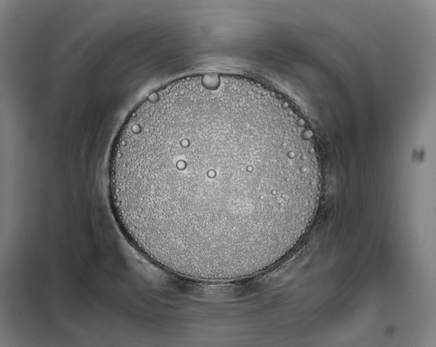 X0000099551471200806061506