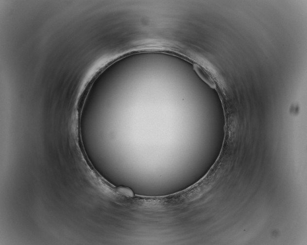 X0000099551472200806061506