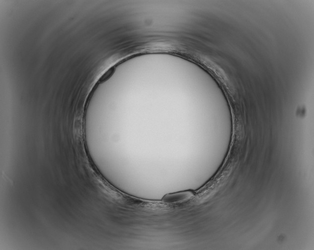 X0000099551473200806061506