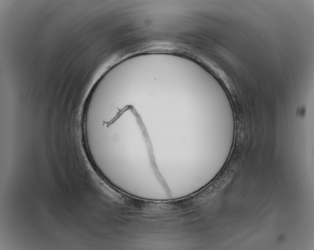 X0000099551475200806061506