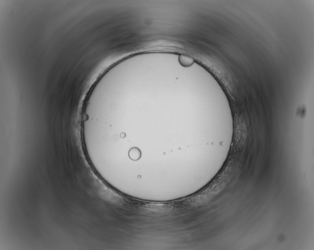 X0000099551478200806061505