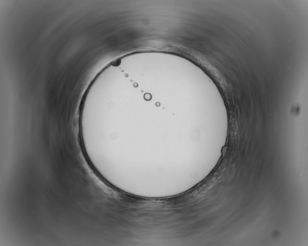 X0000099551479200806061505