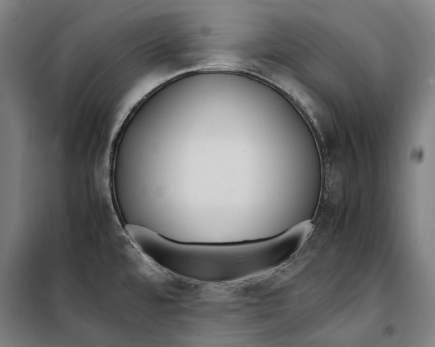 X0000099551480200806061505