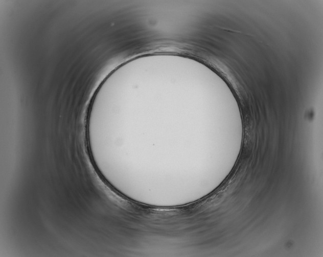 X0000099551483200806061505