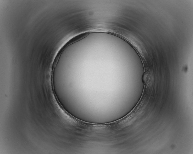 X0000099551484200806061505