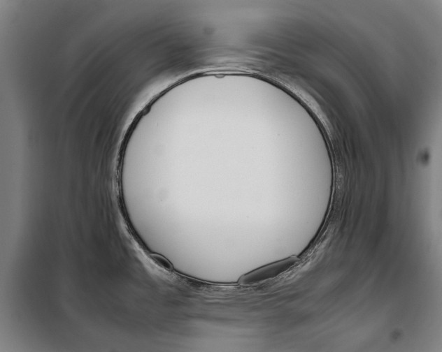 X0000099551485200806061505