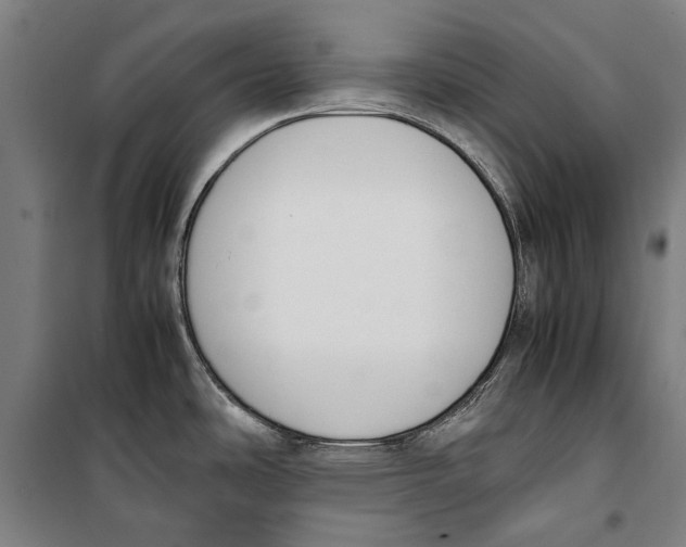 X0000099551486200806061505