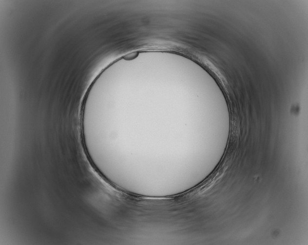 X0000099551487200806061505