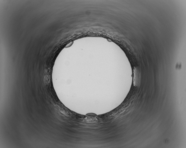 X0000099551491200806061505