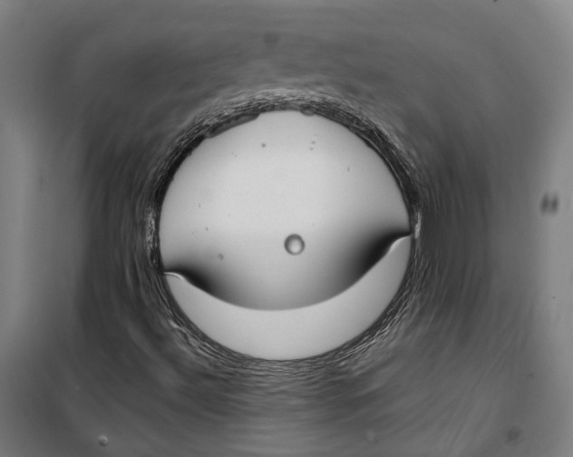 X0000099551492200806061505